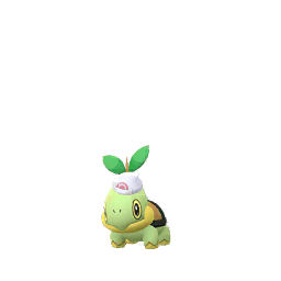 Event - 0387 - Turtwig (Dawn Hat)